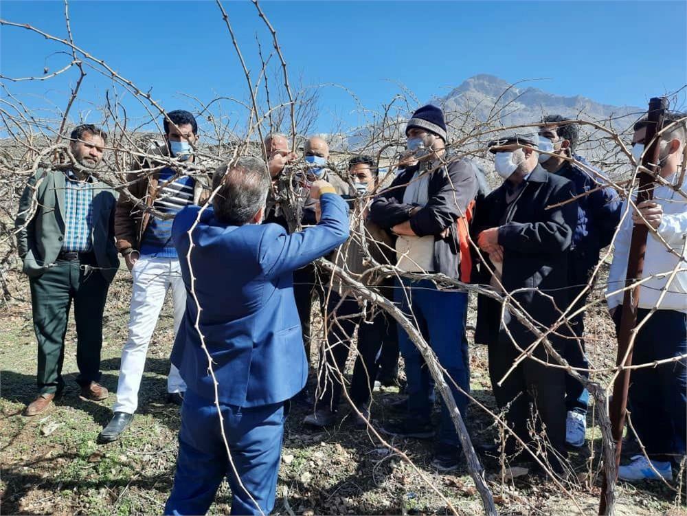 كارگاه مديريت باغهاي طرح فراز