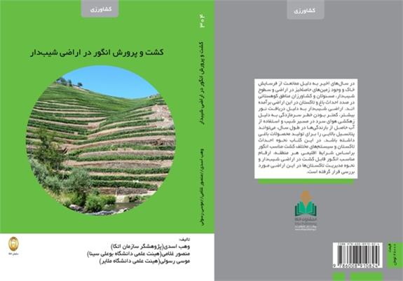 كتاب: كشت و پرورش انگور در اراضي شيب دار